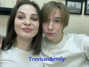 Trevisandemily