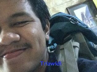Triawidi
