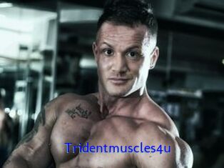 Tridentmuscles4u