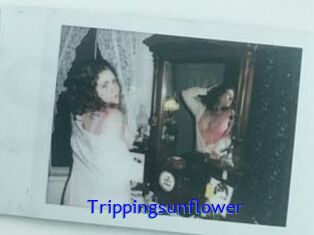 Trippingsunflower