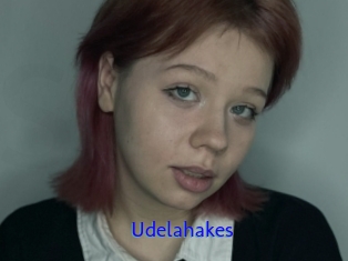 Udelahakes