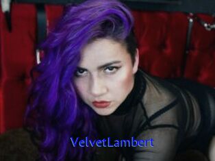 VelvetLambert