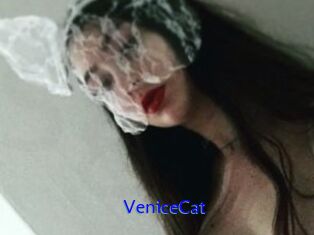 VeniceCat