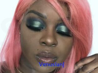VenusianJ