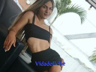 Vidadollche