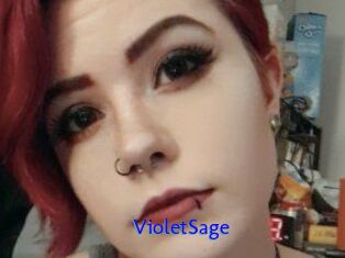 Violet_Sage