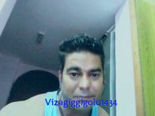 Vizagiggigolo1434