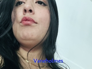Vaneholmes