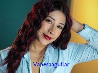 Vanesaaguilar