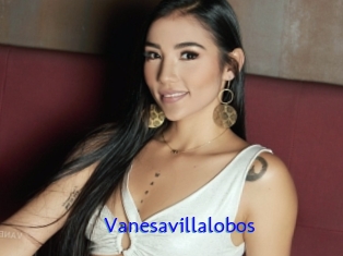 Vanesavillalobos