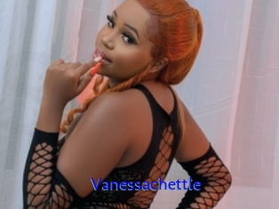 Vanessachettle