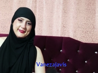 Vanezajavis
