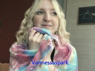 Vannessaspark