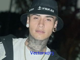 Vectorx073