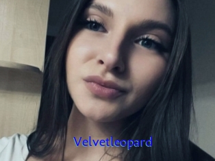 Velvetleopard