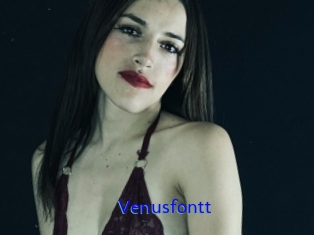 Venusfontt