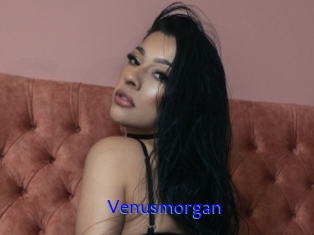 Venusmorgan