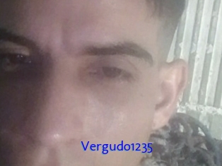 Vergudo1235