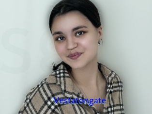 Vestatongate