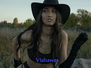 Viahawes