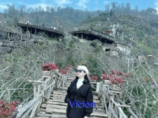 Vicion
