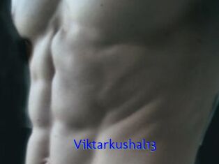 Viktarkushal13