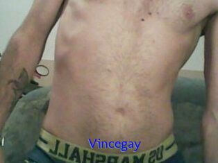 Vincegay