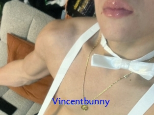 Vincentbunny