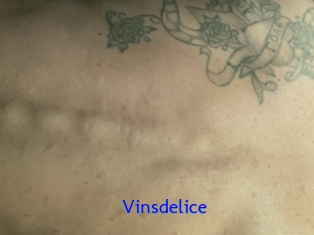 Vinsdelice