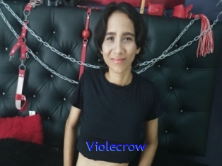 Violecrow