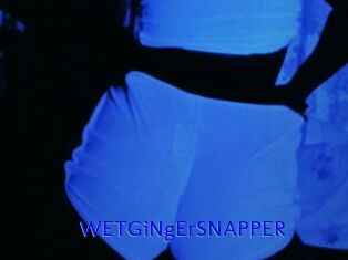 WETGiNgErSNAPPER