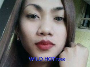 WILD_HOTrose