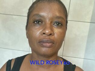 WILD_ROSEY40