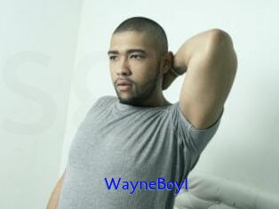 WayneBoyI