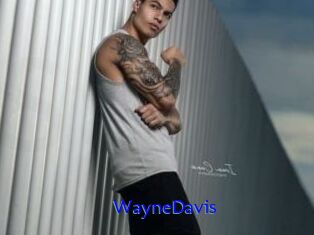 WayneDavis