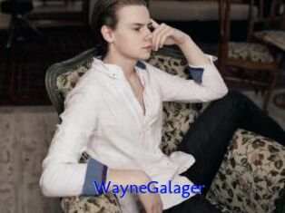 WayneGalager