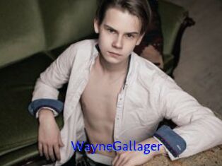 WayneGallager