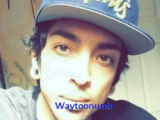 Waytoonumb