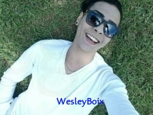 Wesley_Boix