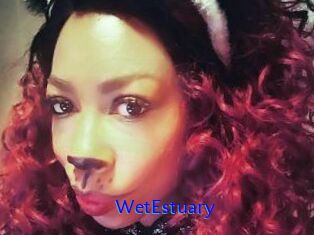 WetEstuary