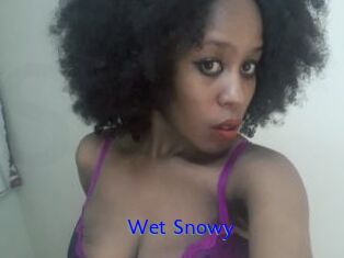 Wet_Snowy