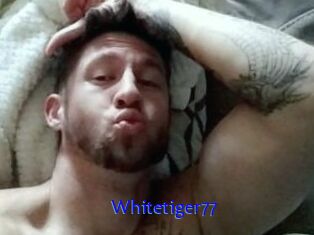 Whitetiger77