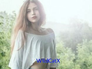 Wild_CatX