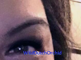 WildDutchOrchid