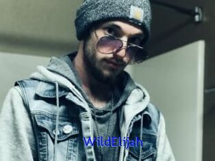 WildElijah