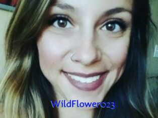 WildFlower023