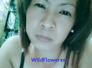 WildFlowerxx