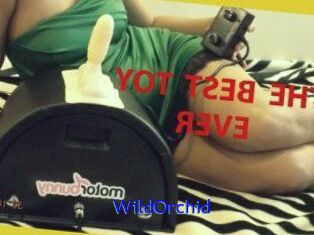 WildOrchid_