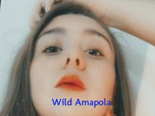 Wild_Amapola