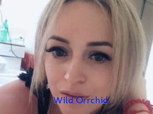 Wild_Orrchid